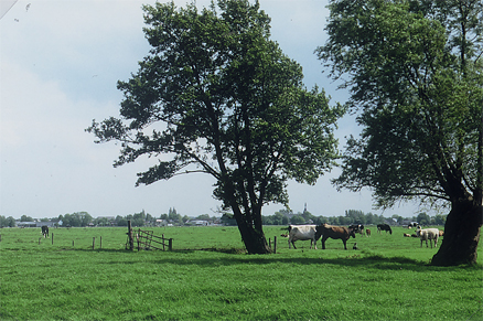 De Broeklanden